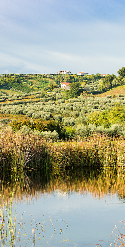 golf-il-cerreto-di-miglianico-gallery-photo-7