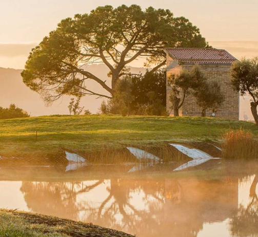 The Golf Il Cerreto di Miglianico course among the olive groves